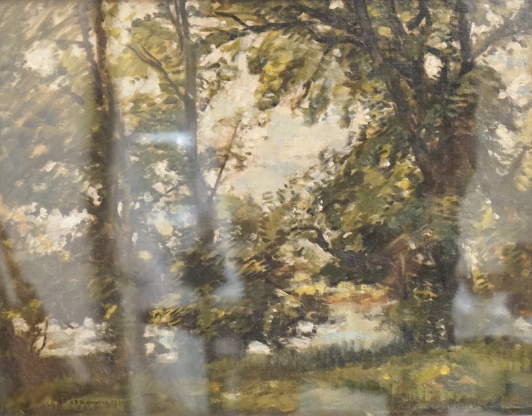 Alfred Edward Borthwick RSA (1871–1955), Landscape with trees and lake beyond, signed and dated 1931, oil on board, 35 x 45cm, Provenance - owned and passed down the generations of the vendors family